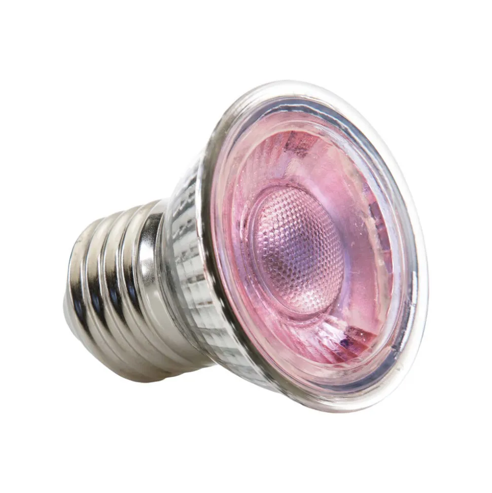 Exo Terra Daglicht LED-Spot Nano