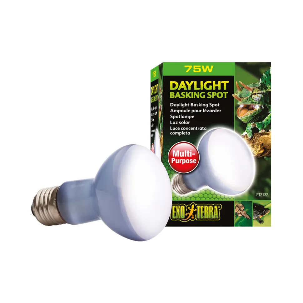 Exo Terra Daglicht Warmtespot
