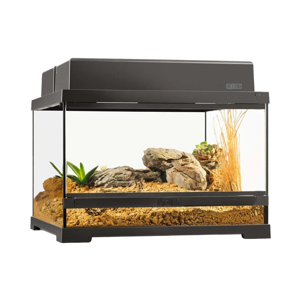 Exo Terra Pro Terrarium Low