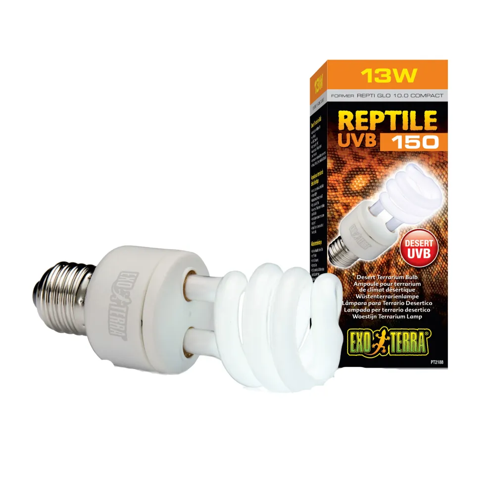 Exo Terra Woestijnlamp