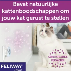 Feliway Help!