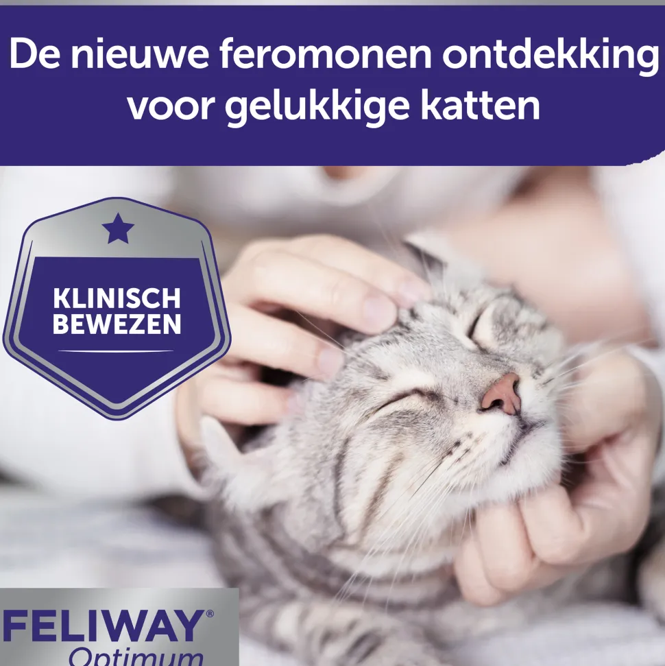 Feliway Optimum