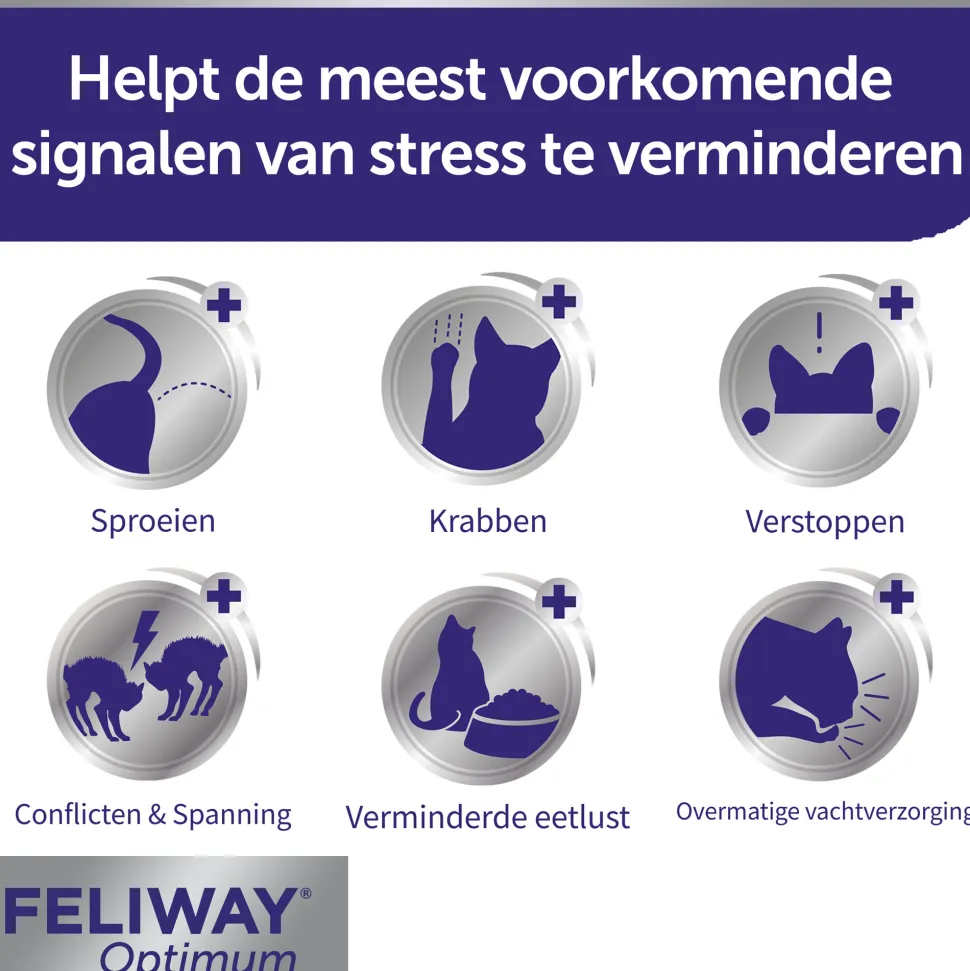 Feliway Optimum