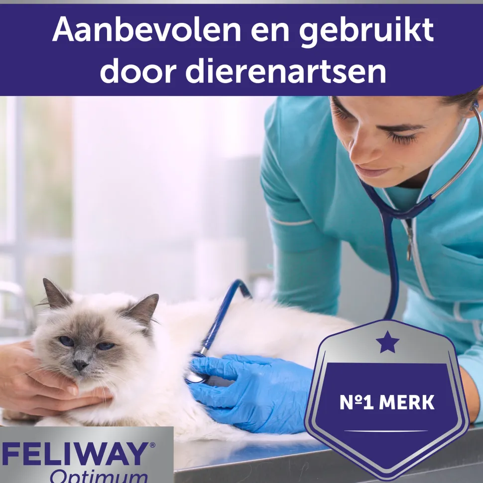 Feliway Optimum