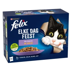 Felix Elke Dag Feest