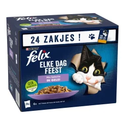 Felix Elke Dag Feest
