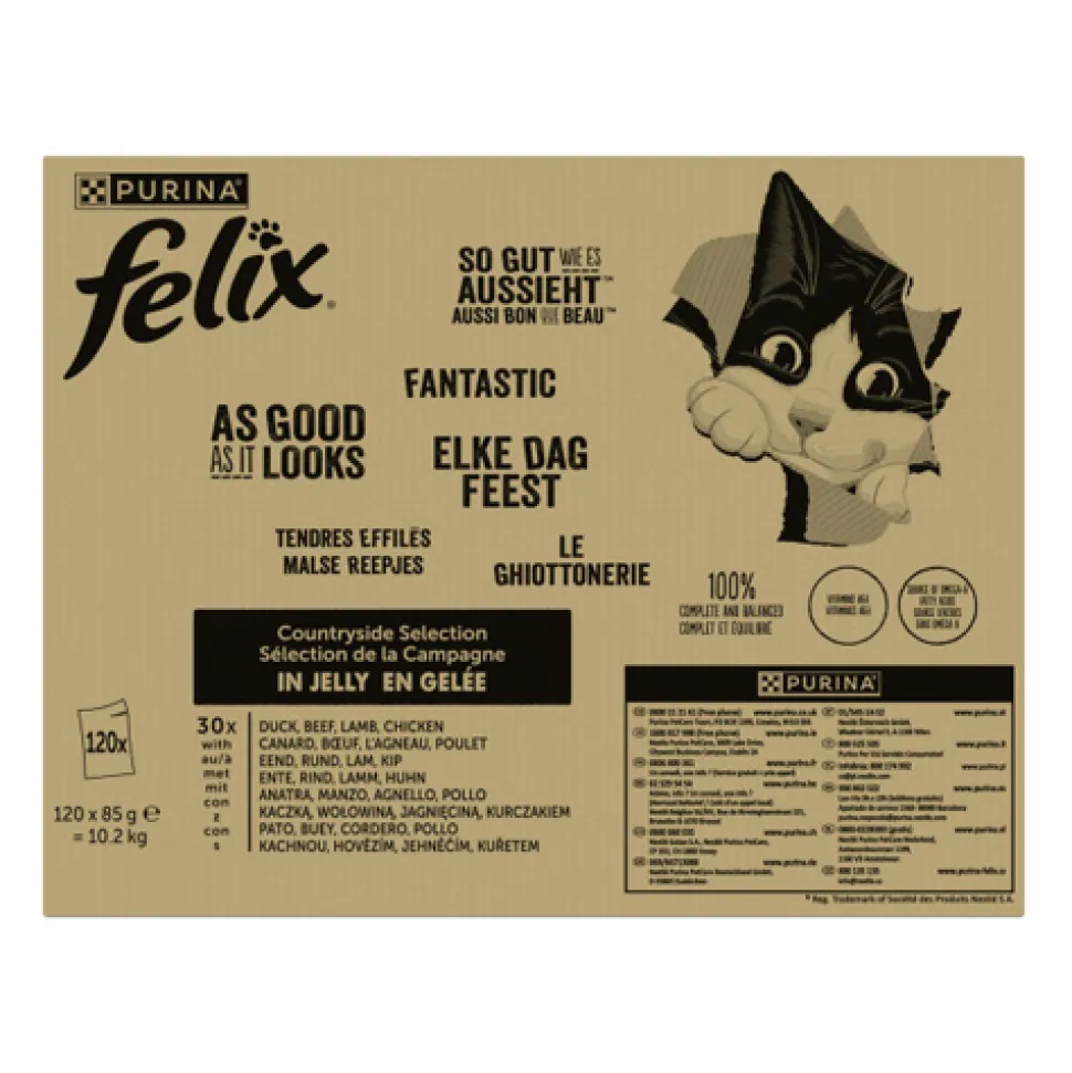 Felix Elke Dag Feest in Gelei - Countryside Selectie
