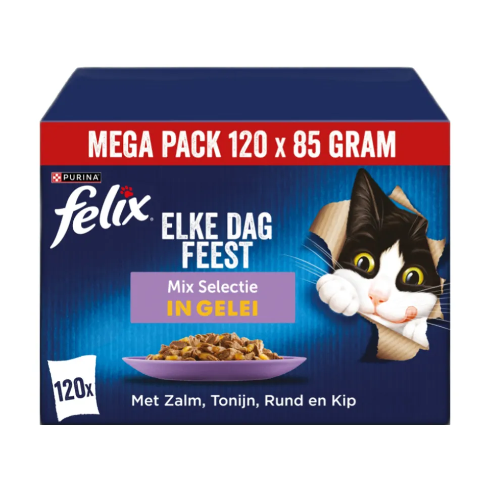 Felix Elke Dag Feest in Gelei - Mix Selectie