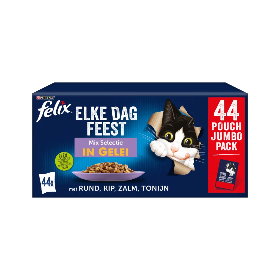 Felix Elke Dag Feest in Gelei - Mix Selectie
