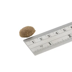 Fish4Dogs Finest Adult Complete - Sardine Grote Brok
