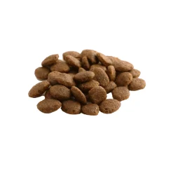 Fish4Dogs Finest Senior Zalm met Zoete Aardappel