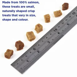 Fish4Dogs Puppy Training Salmon Bites Hondensnacks