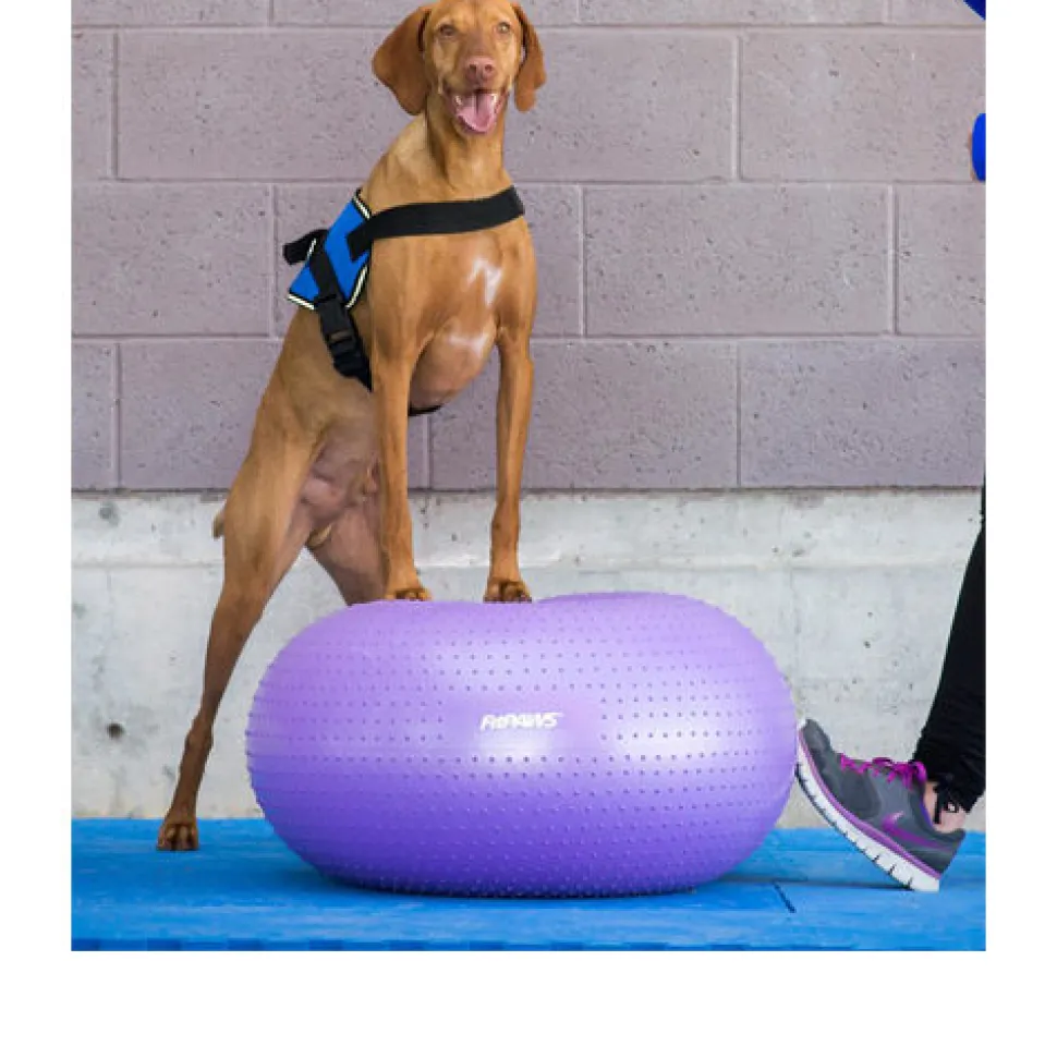 FitPAWS Trax Donut