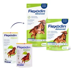 Flexadin Advanced