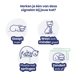 Flexadin Advanced Cat