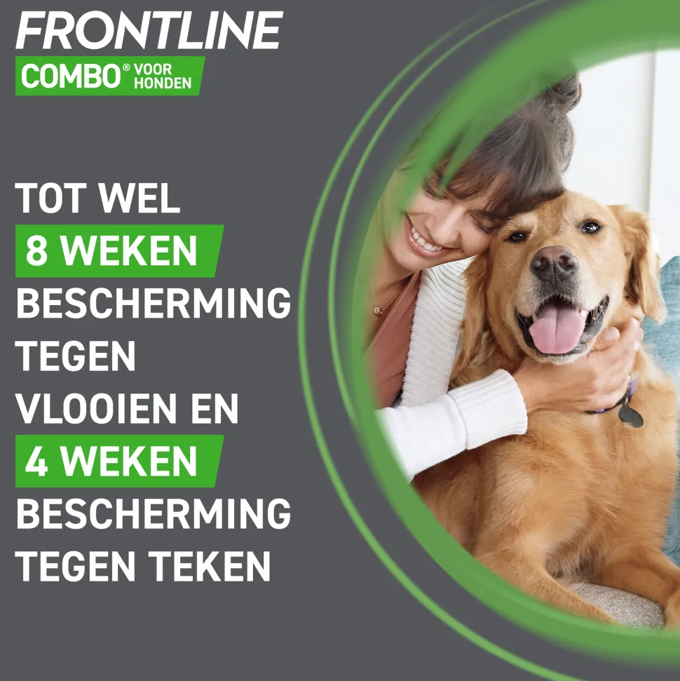 Frontline Combo Spot On Hond