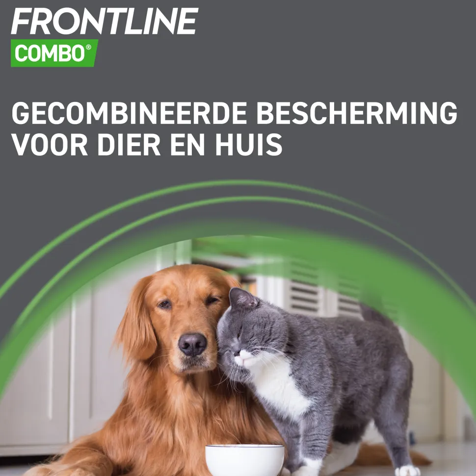 Frontline Combo Spot On Hond
