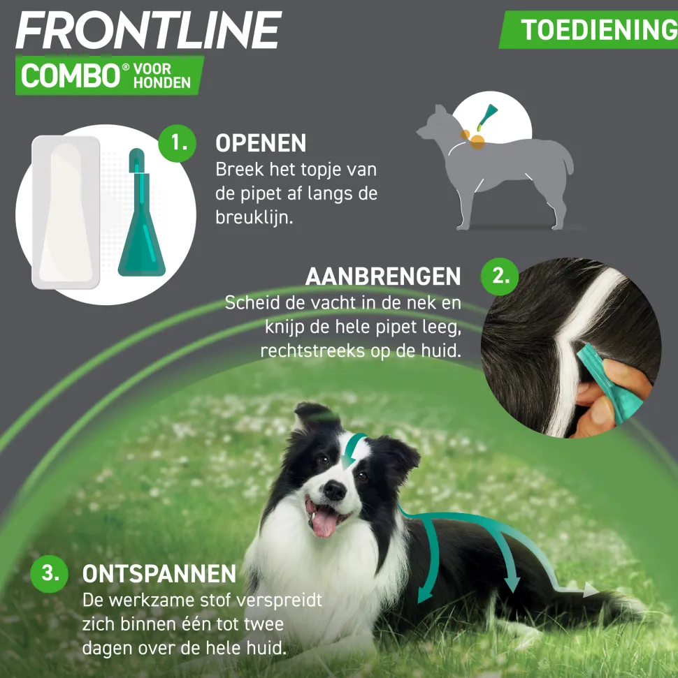 Frontline Combo Spot On Hond