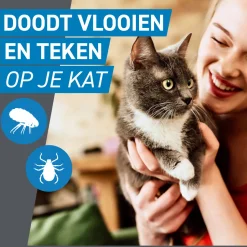 Frontline Spot On Kat