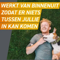 FRONTPRO Kauwtabletten Hond