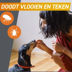 FRONTPRO Kauwtabletten Hond