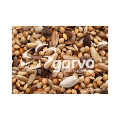 Garvo Agapornidenzaad