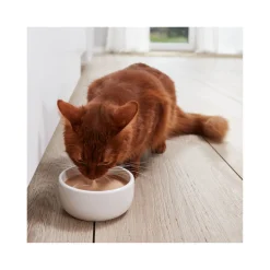 GimCat Melk