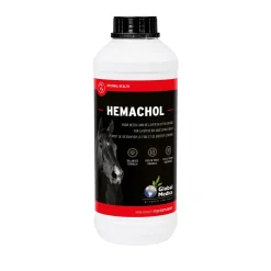 Global Medics Hemachol