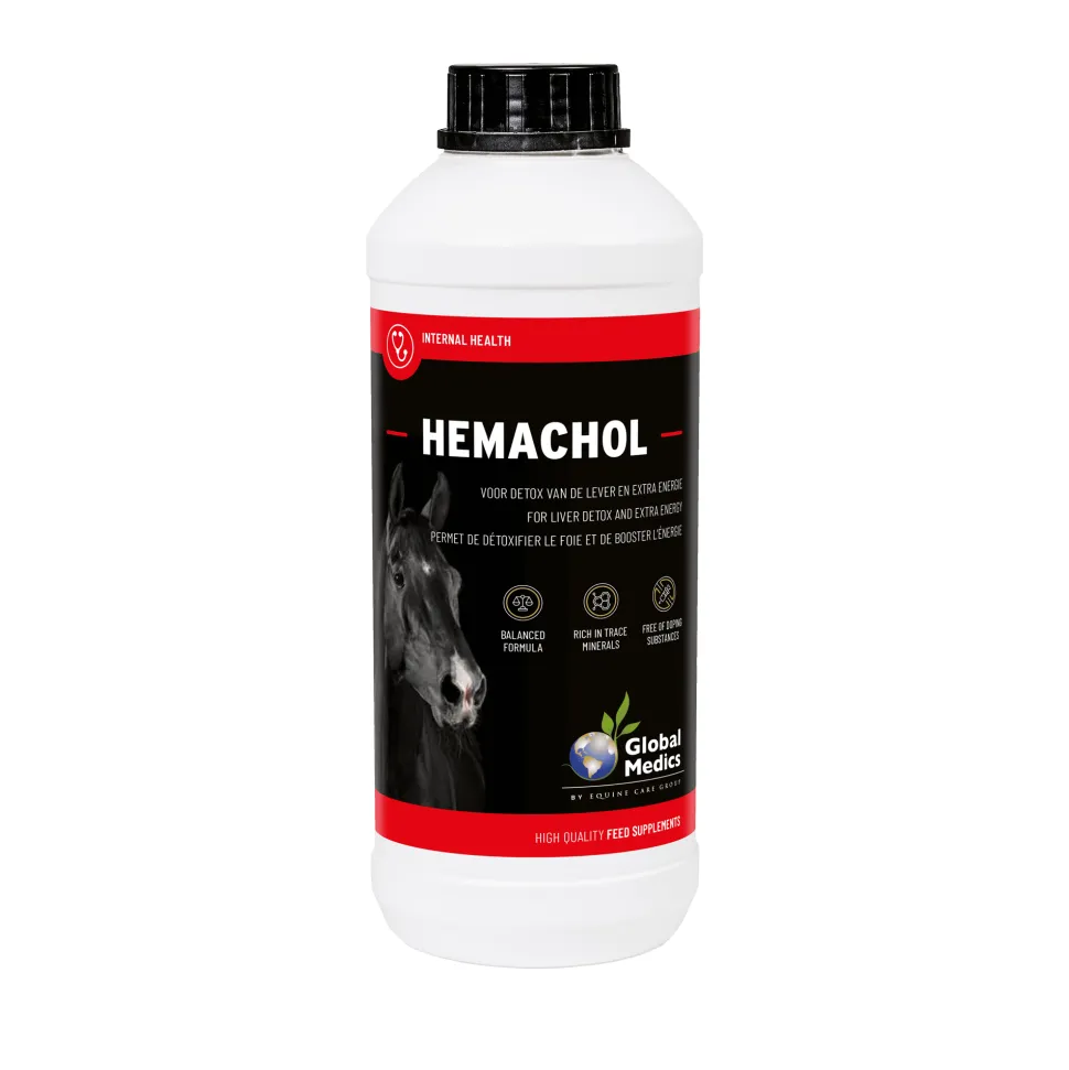 Global Medics Hemachol