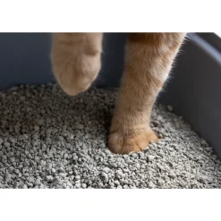 Gritty Klontvormende Kattenbakvulling