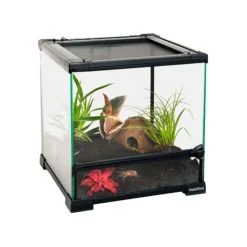 HabiStat Glazen Terrarium Doorzichtig