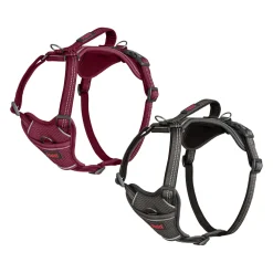 Halti Anatomy Harness