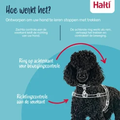 Halti Front Control Harnas