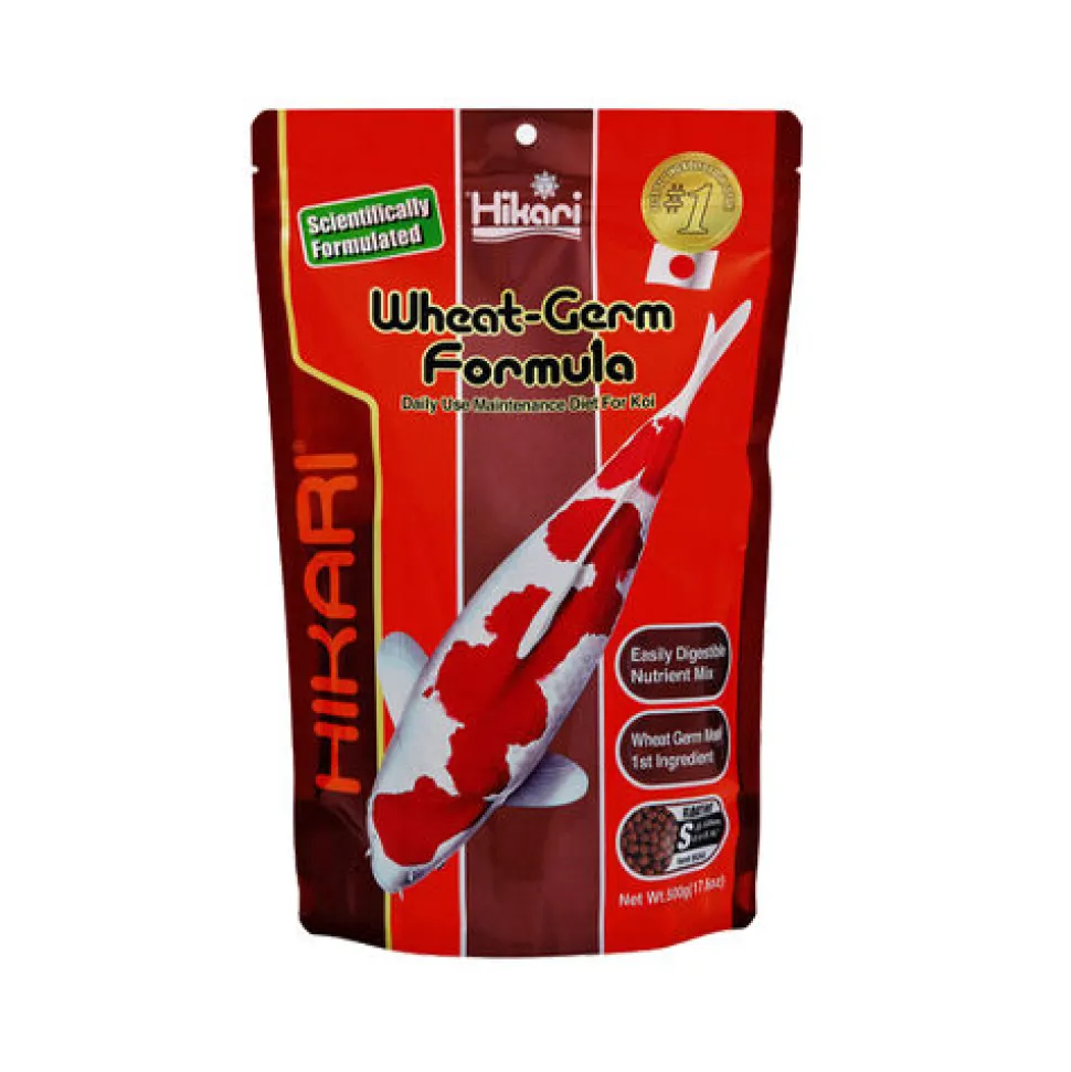 Hikari Wheat-Germ Mini