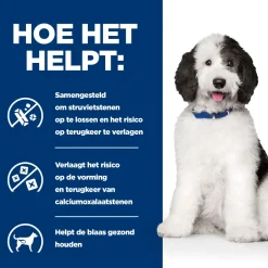 Hill's c/d Multicare Stoofpotje - Prescription Diet - Canine