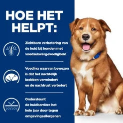 Hill's Derm Complete - Prescription Diet - Canine