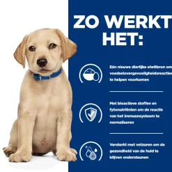 Hill's Derm Complete Puppy - Prescription Diet - Canine
