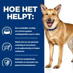 Hill's i/d Digestive Care - Prescription Diet - Canine