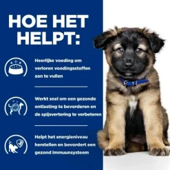 Hill's i/d Digestive Care - Prescription Diet - Puppy