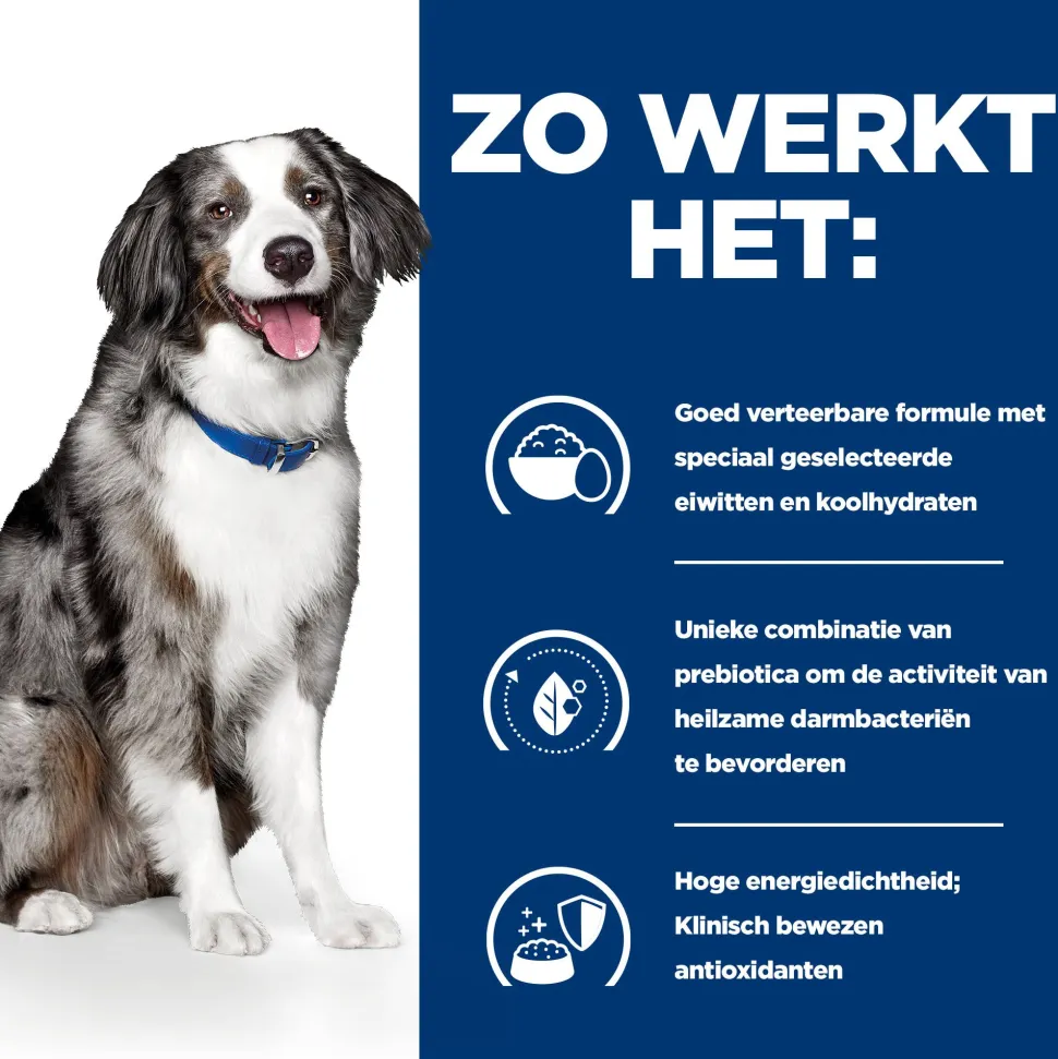 Hill's i/d Sensitive - Digestive Care - Prescription Diet - Canine