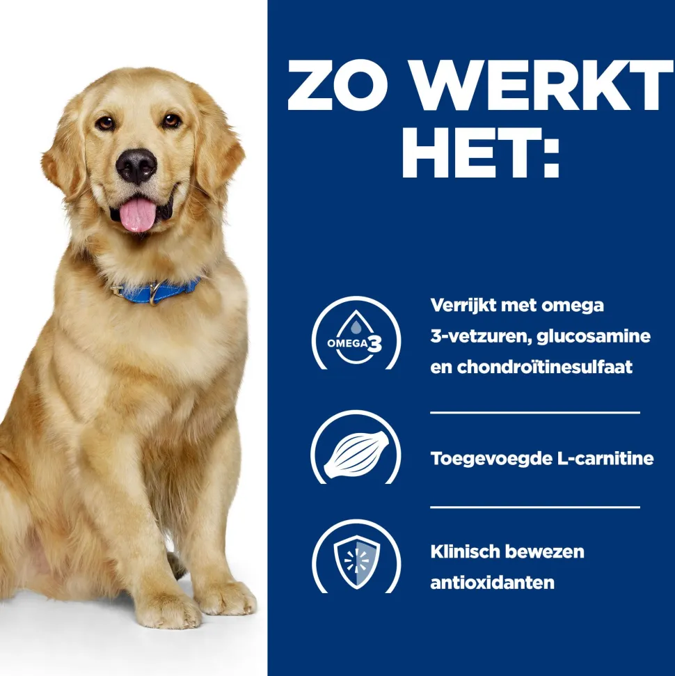 Hill's j/d Joint Care - Prescription Diet - Canine