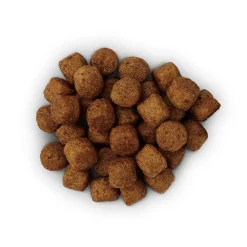 Hill's j/d Joint Care - Prescription Diet - Canine