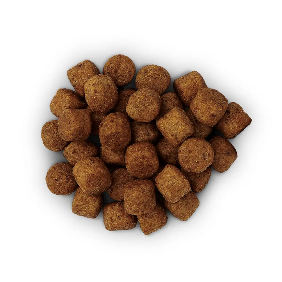 Hill's j/d Joint Care - Prescription Diet - Canine