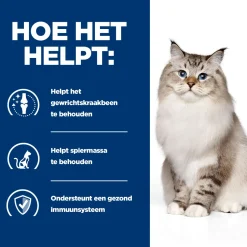 Hill's j/d Joint Care - Prescription Diet - Feline