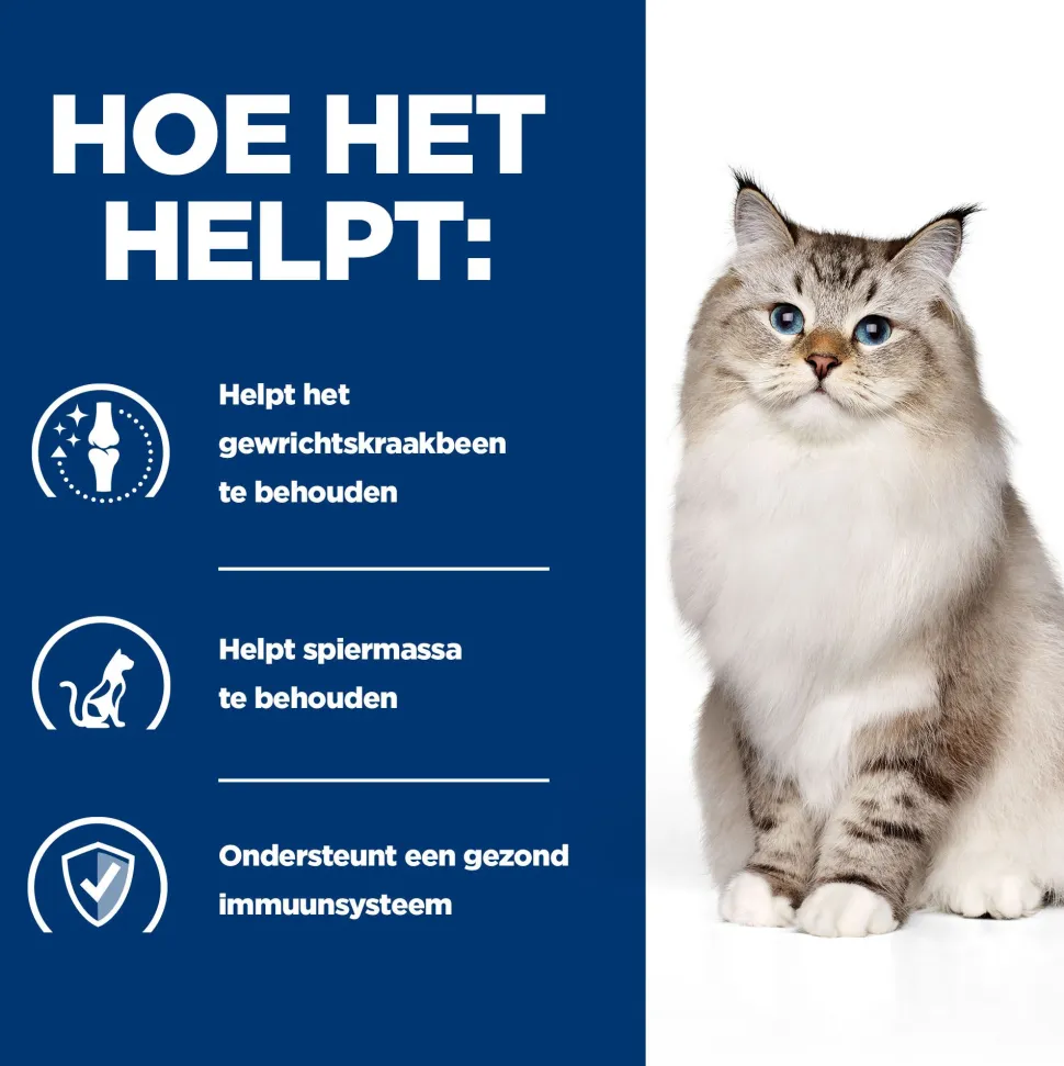 Hill's j/d Joint Care - Prescription Diet - Feline