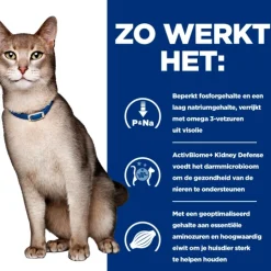Hill's k/d Kidney Care - Prescription Diet - Feline - Zalm