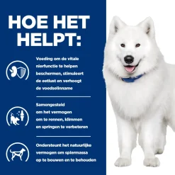 Hill's k/d + Mobility - Prescription Diet - Canine