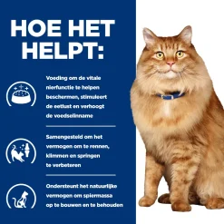 Hill's k/d + Mobility - Prescription Diet - Feline - Maaltijdzakje