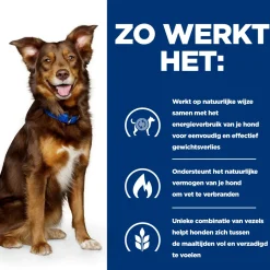 Hill's Metabolic Weight Management - Prescription Diet - Canine