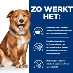Hill's Prescription Diet - Derm Complete Natvoer - Canine